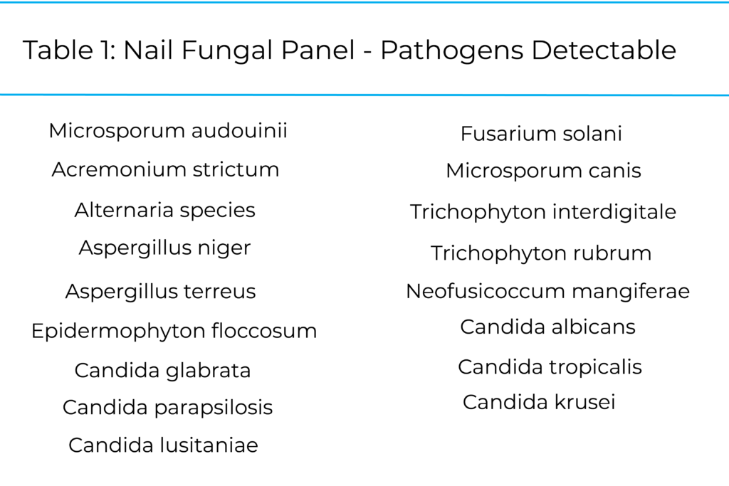 A case of onychomycosis caused by Aspergillus niger